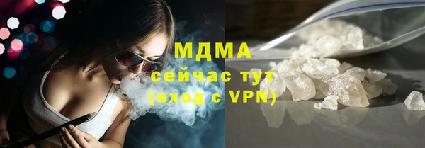 хмурый Арсеньев