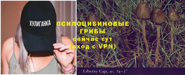 трава Армянск