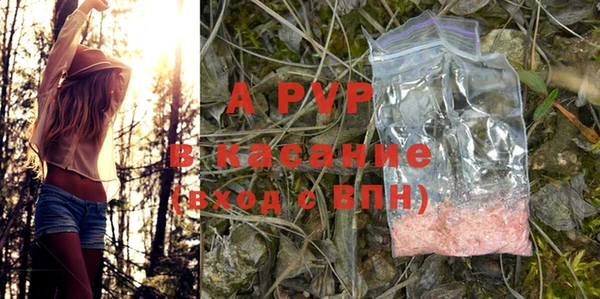 хмурый Арсеньев