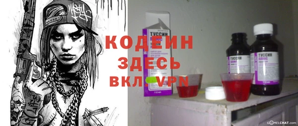 хмурый Арсеньев