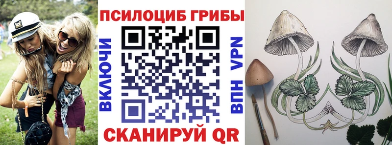 Псилоцибиновые грибы прущие грибы  Зеленоградск 
